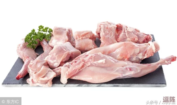 暗喻幻想中的解毒秘籍：独特烤兔肉制作方法揭秘大公开