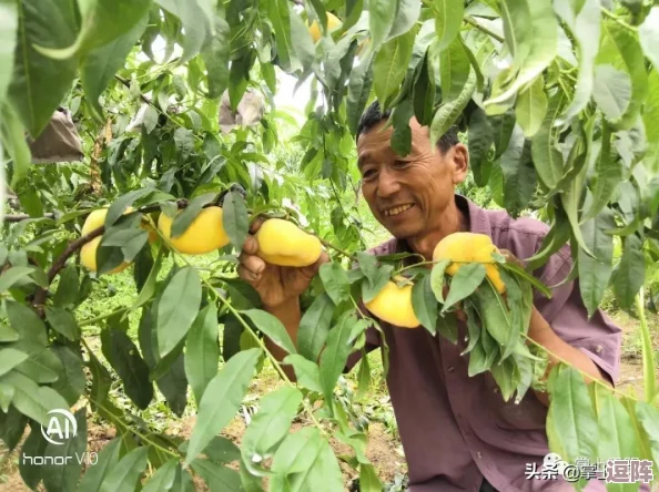 一小孩和妈妈摘萝卜：温馨亲子时光，感受大自然的乐趣与收获的喜悦