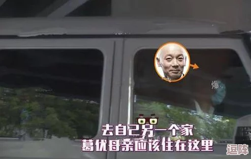 老年另类BWWBWWBWW：打破常规的精彩活动引发全国关注，老人们的快乐新方式正席卷全城！